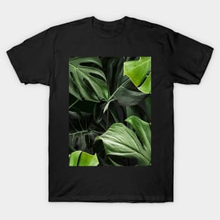 An image of a tropical monstera plant T-Shirt